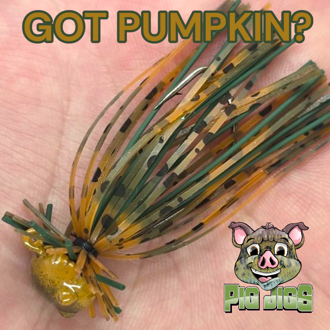 1/8 OZ  NEDDIN' JIG